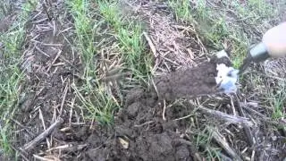 Sumo DD3 Comparison and Slug Pellets Efficacy