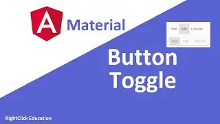 Angular Material Button Toggle | Angular Material Tutorial 19