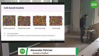Dr. Alexander Fletcher | Modelling active cell intercalations in Drosophila axis extension