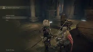 Elden RIng Part 7 Decaying Ekzykes