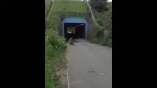 Blata wheelie