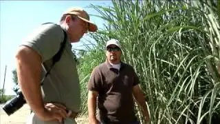 Progressive Farmer: Clayton Hurdle