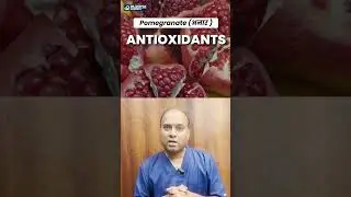 Pomegranate (अनार) for Sexual Health | Erectile Dysfunction में Sexual health बढ़ाए Naturally
