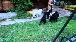 MOV03140