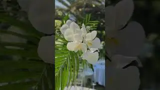 Blush Petals Flower Shop