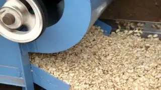 Peanuts Peeling machine 2 Piece.MPG
