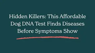 Hidden Killers: This Affordable Dog BloodTest Finds Diseases Before Symptoms Show