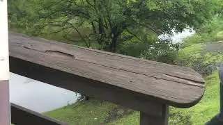 Hassenplug Cover Bridge