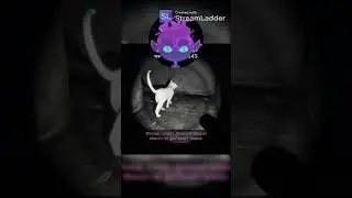 Excuse ME!? #cat #funnygameplay #penlin #fart
