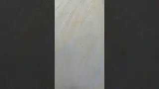 صباغة صابلي