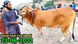 Ismail Goth Mandi Karachi Cattle Rates 23-06-2022  | Bakra Eid Ki Sasti Mandi | Cow Mandi 2022