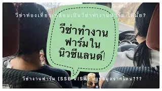 Q/A วีซ่าทำงานฟาร์มนิวซีแลนด์ มีจริงมั๊ย? คลิปนี้มีคำตอบ #วีซ่าทำงานฟาร์มนิวซีแลนด์ #งานฟาร์ม