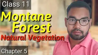 Montane Forest | Natural Vegetation | Geography | Class 11, Chapter 5, NCERT Book
