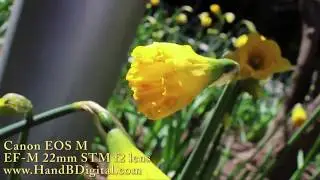 HandBDigital.com Presents: CANON EOS M With 22mm F2 Lens Video Sample Review