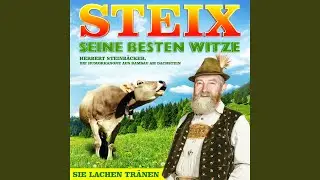 Witze 4
