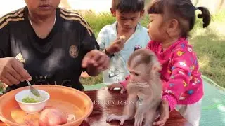 Lovely Sister Satya Hugging Carry Tiny Monkey Jason To Join Eating Avocado Snack With All Siblings