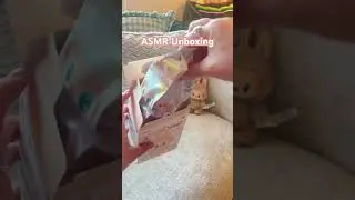 ASMR Popmart Labubu Unboxing ✨🎀🫶🏼