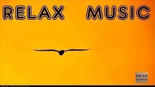 6 Hour RELAXING MUSIC Chillout Ambient New Age Music Background Music 213