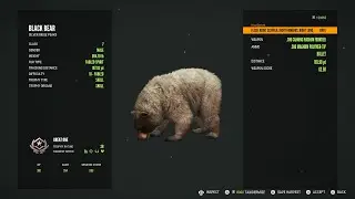 theHunter: Call of the Wild Black Bear Great One  - Fabled Spirit