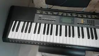 Casio 2500