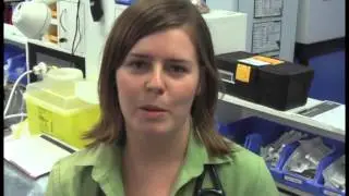 The RSPCA Qld Wildlife Hospital