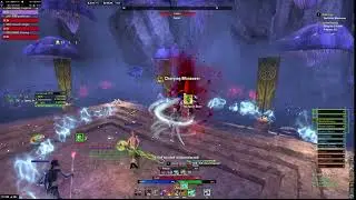 ESO- Subclass Tank (Arc/Warden/Dk) Scriveners Hall Trifecta in 12 minutes.