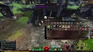 Learning Guild Wars 2 from Scratch!