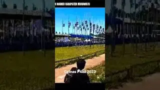 Gatnas P4lsi perkutut lokal 2023