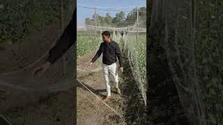 welcome to agriculture#YouTube short#agriculture short#trending video