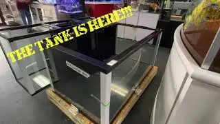 The 268g Planet Aquarium is on the Framing Tech Aluminum T-Slot Stand!
