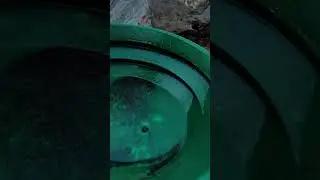 The Reveal From Crevice to Pan!!! Let's Go!! #gold #goldmining #goldpanning
