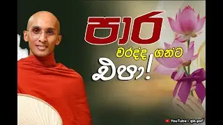 පාර වරද්ද ගන්ට එපා! | Venerable Ankubure Amithadeepa Thero