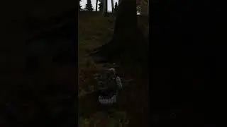 Затариваю схрончики с халявного лута Arma2 Dayz mod