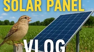 🌞 Khet Mein Solar Panel Vlog | Chidiyon Ki Awaaz | Village Life 🌾 #vlogger 