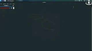 How to run and anlayze packets in wire shark in Kali Linux 2020.1 || Tez Mun ||