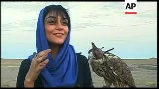 Iran's first falcon flying club revives ancient tradition