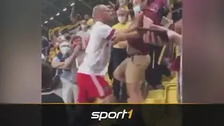 Eklat! HSV-Star Toni Leistner geht Fan an den Kragen | SPORT1 - DFB-POKAL