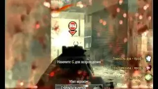 iw4mp dat 20101103 0111391