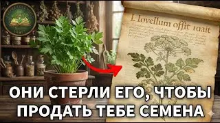 Это растение кормит 20 лет без семян, но его стерли из памяти ради миллиардного рынка