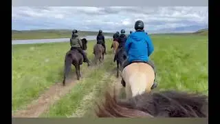 Islandzauber 2024 - Island Reittour