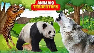 CONHECENDO OS ANIMAIS TERRESTRES - HIST&Oacute;RIAS INFANTIS
