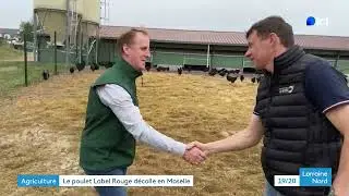 Ces jeunes agriculteurs de Moselle misent sur la filière locale du poulet 
