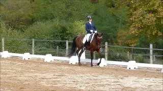 ALCEA jument PRE X TRAKEHNER 6 ans