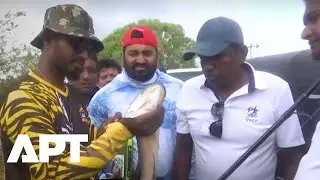 WATCH: Sri Lankan Anglers Compete to Curb Invasive Snakehead Fish | APT