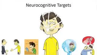 Brain Rehabilitation for Drug Addiction: Hopes and Challenges, RANZCP2019 meeting, New Zealand