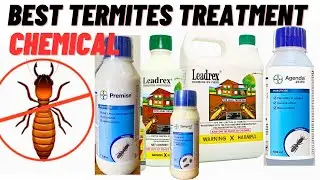 Best termites treatment chemical | Deemak treatment ke liye konsa chemical use kare | Bayer premise