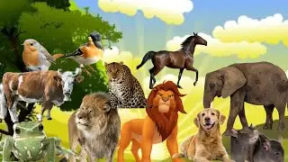 Cute little animals. different animals. Amazing animal sound #funnyanimal #groupofanimals #cow