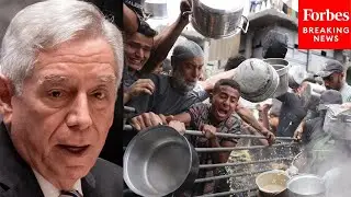 'Man-Made Humanitarian Tragedy': UN Security Council Pres. Issues Dire Warning Over Gaza Conditions