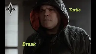 Turtle Tribute
