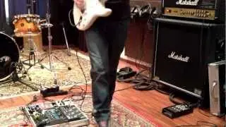 Fender Stratocaster 59 with D'Allen pickups